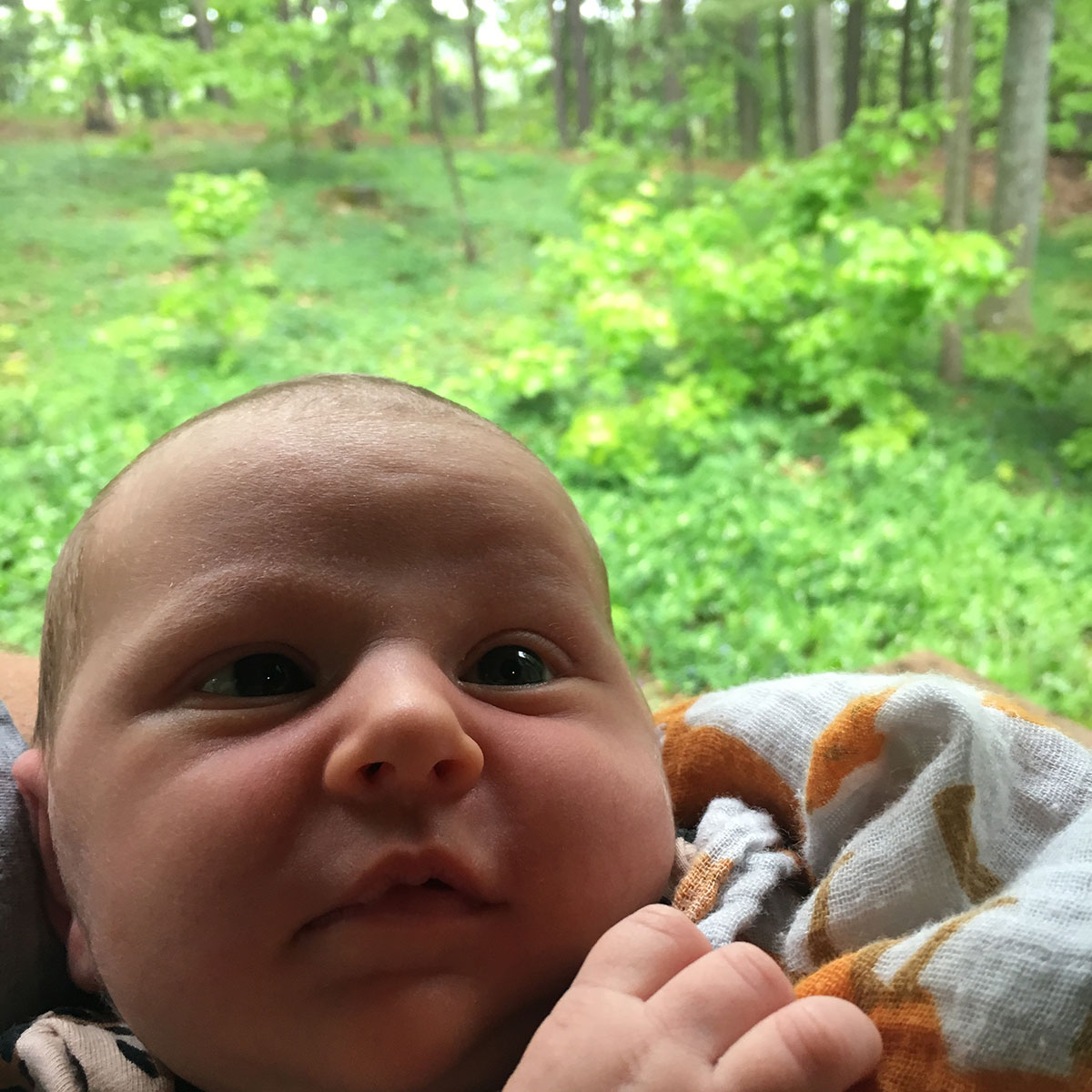 Baby in Michigan woods