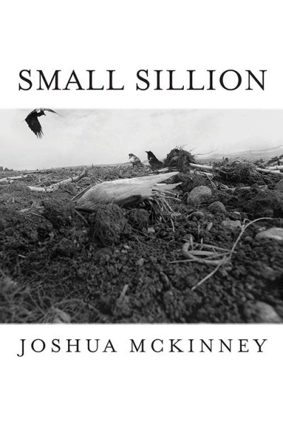 Small Sillion, by Joshua McKinney
