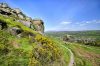 Ilkley Moor, Yorkshire