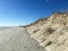 Beach and dunes