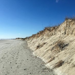 Beach and dunes