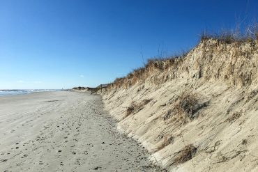 Beach and dunes
