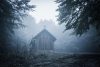Old church in forest with fog