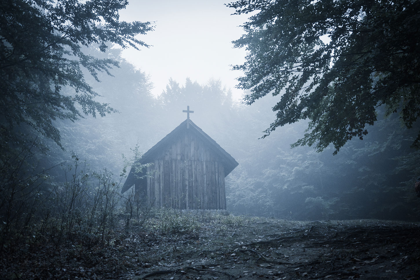 Old church in forest with fog
