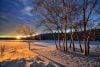 Trees in winter and sunset