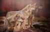 Wolves