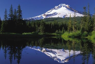 Mountain Hood and Trillium Lake