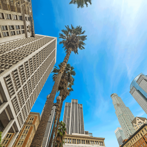 Looking up in downtown Los Angeles