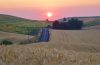Sunrise over the Palouse Priaire, with road and barn