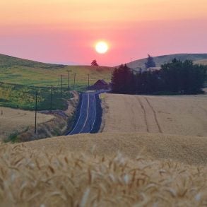 Sunrise over the Palouse Priaire, with road and barn