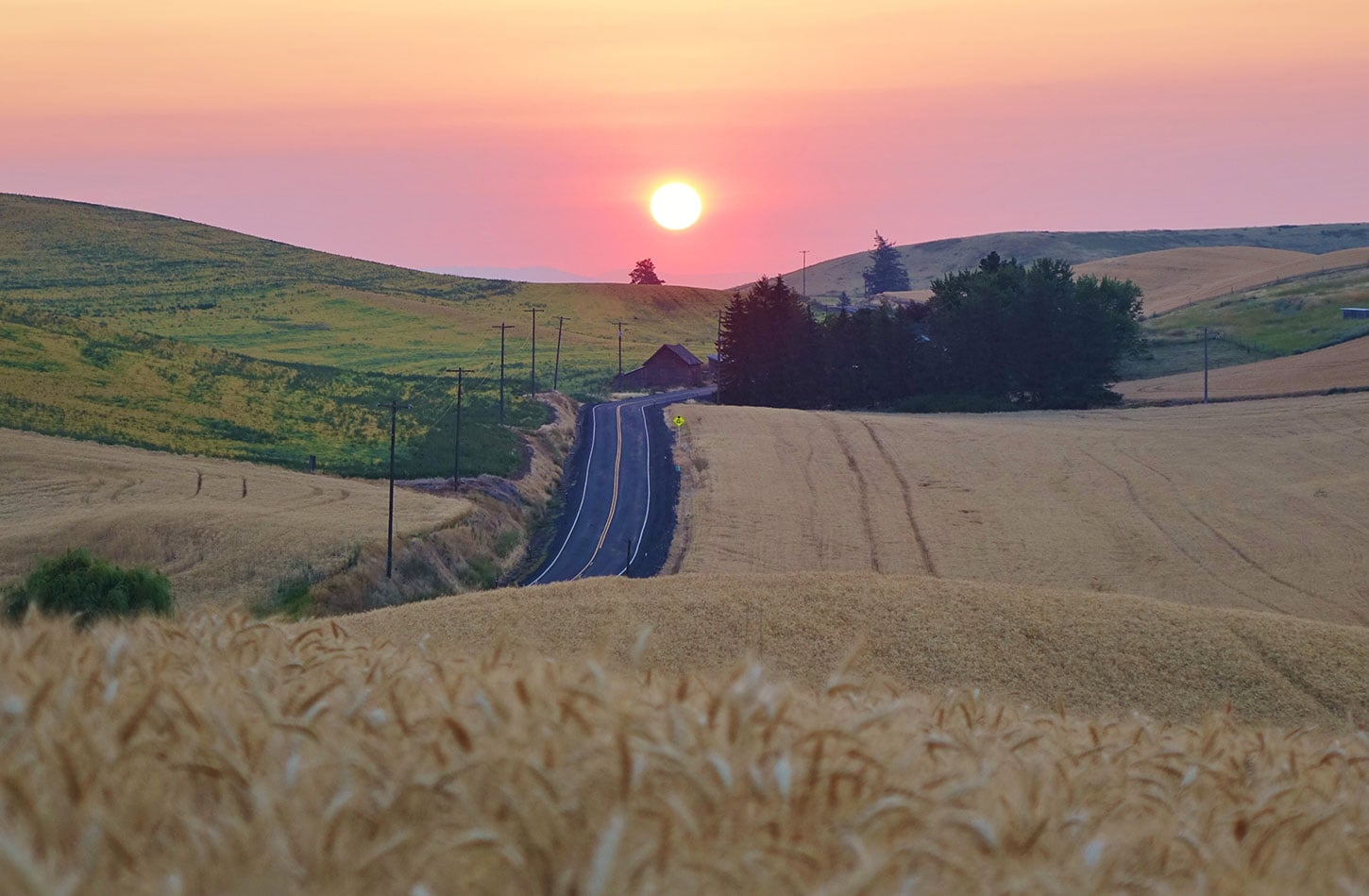 Sunrise over the Palouse Priaire, with road and barn