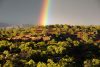 Pinon-juniper forest, Southern Utah