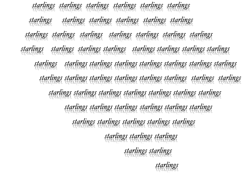 starlings starlings starlings starlings starlings starlings starlings starlings starlings starlings starlings starlings starlings starlings starlings starlings starlings starlings starlings starlings starlings starlings starlings starlings starlings starlings starlings starlings starlings starlings starlings starlings starlings starlings starlings starlings starlings starlings starlings starlings starlings starlings starlings starlings starlings starlings starlings starlings starlings starlings starlings starlings starlings starlings starlings starlings starlings starlings starlings starlings starlings starlings starlings starlings starlings starlings starlings