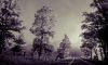 Blue Ridge highway in black and white