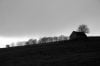 Barn in landscape