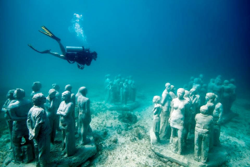 "Silent Evolution" with diver.