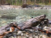 Debris along the North Fork