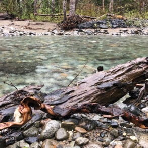 Debris along the North Fork