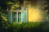 Window with shutters in the woods