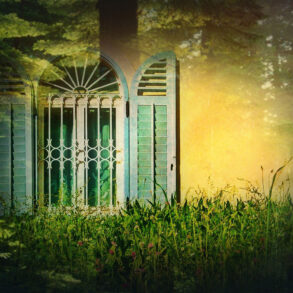 Window with shutters in the woods