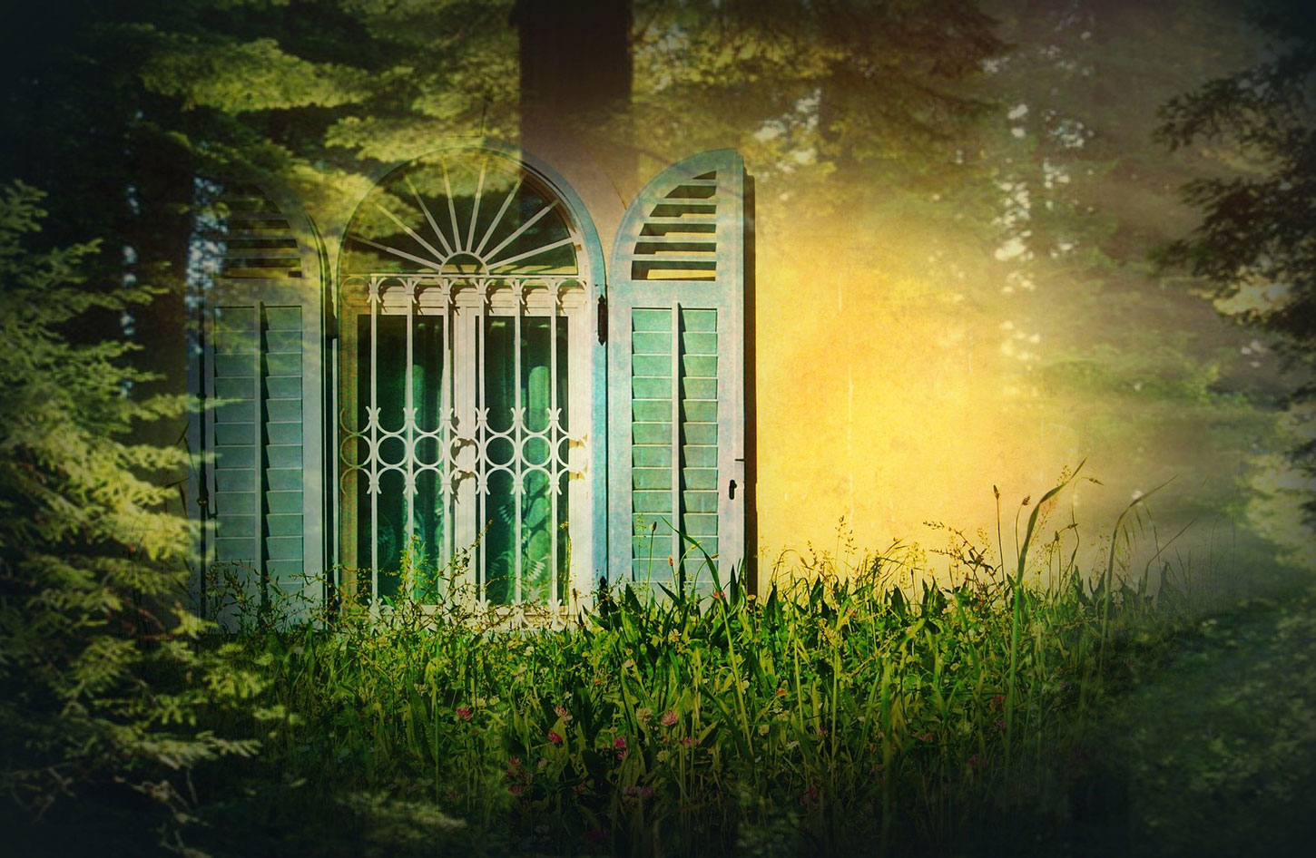 Window with shutters in the woods
