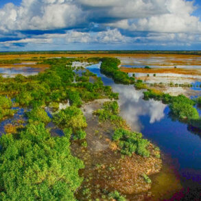 Aerial view of the Everglades and Lake Okeechobee