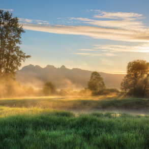 Morning sunlight and fog on river