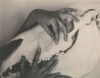 Photograph of Georgia O'Keeffe's Hands and Horse Skull, 1931.
