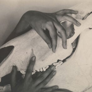 Photograph of Georgia O'Keeffe's Hands and Horse Skull, 1931.