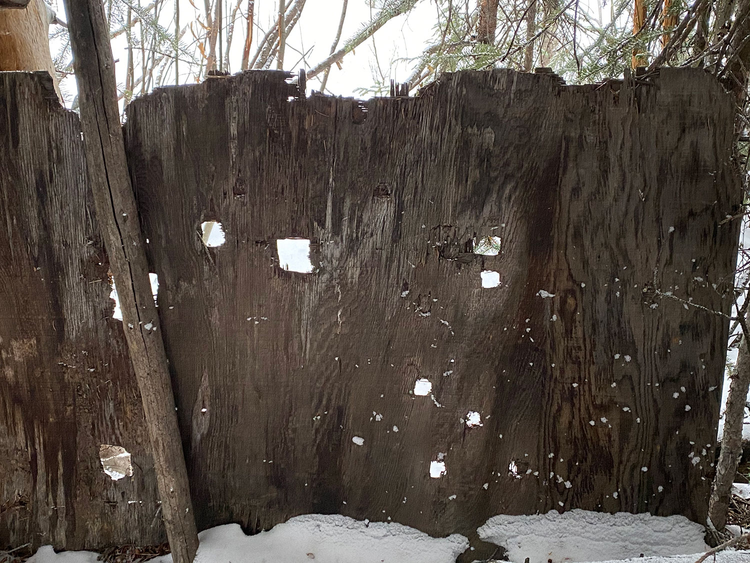 Wooden blind with trees and snow