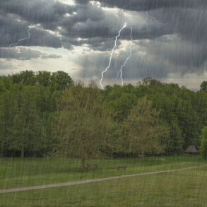 Rain, lightning, and trees.