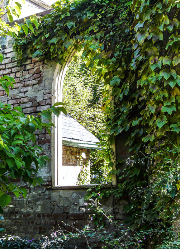 Garden wall with ivy