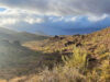 Monsoon in the Desert Southwest