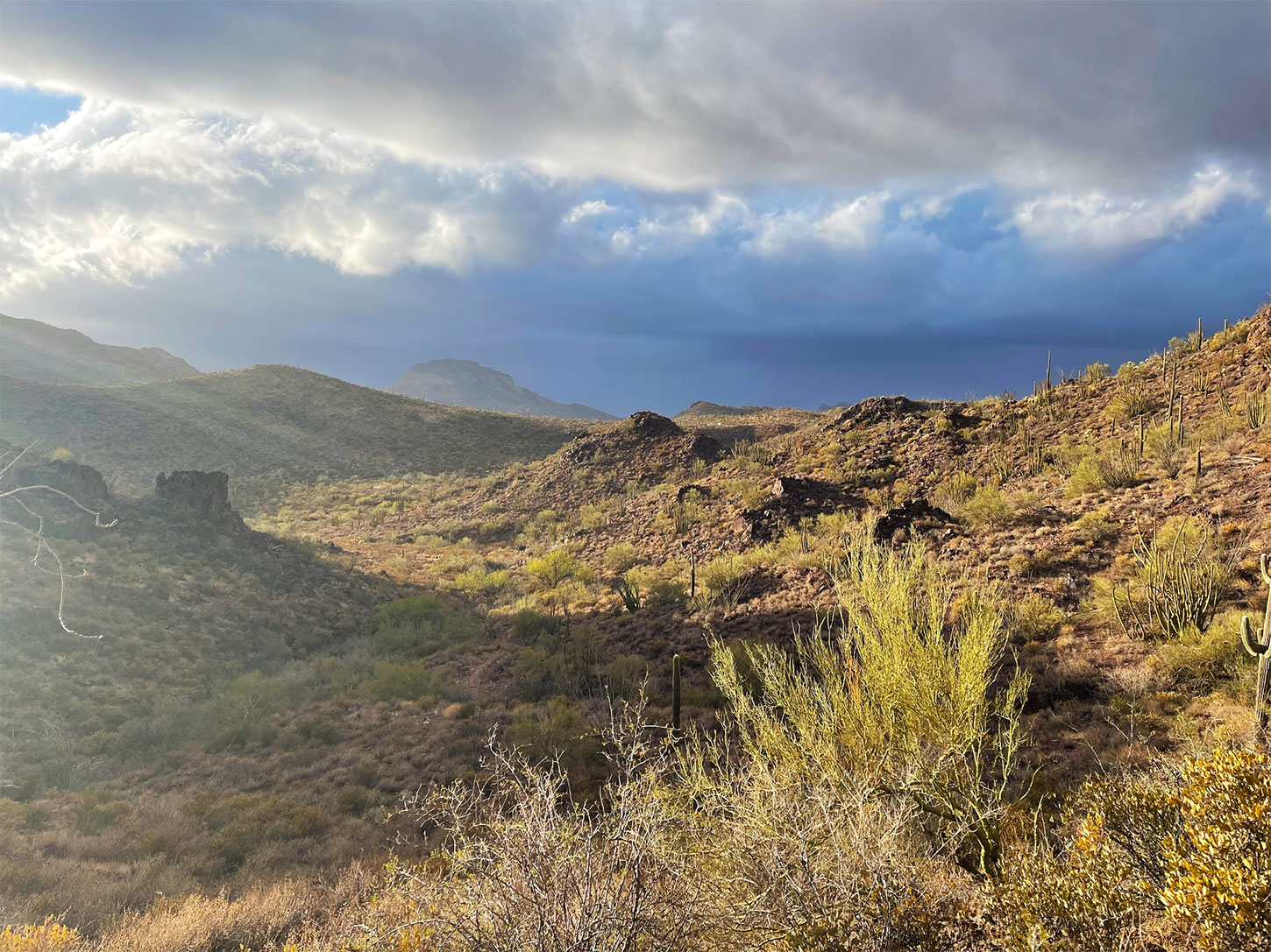 Monsoon in the Desert Southwest