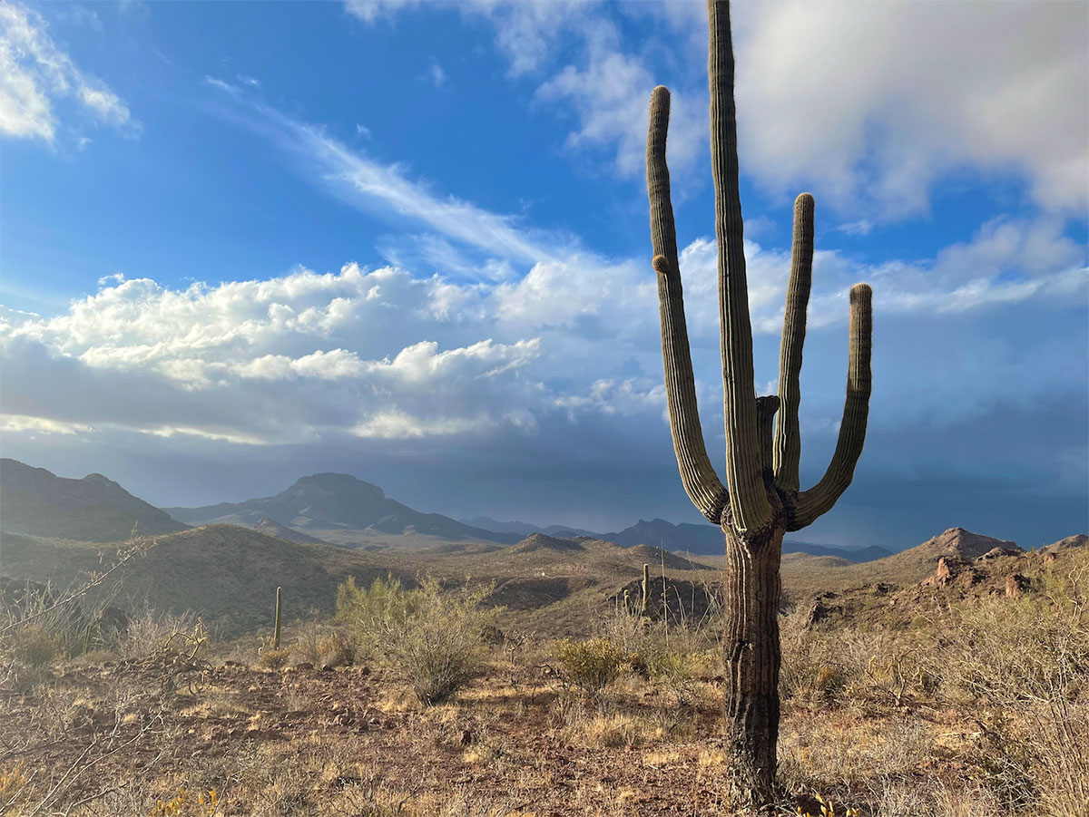 Monsoon building over the Arizona-Mexico border