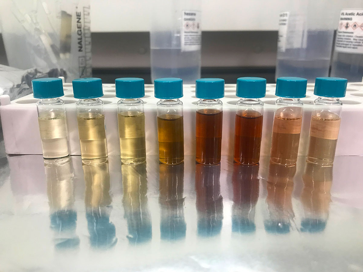Total lipid extracts