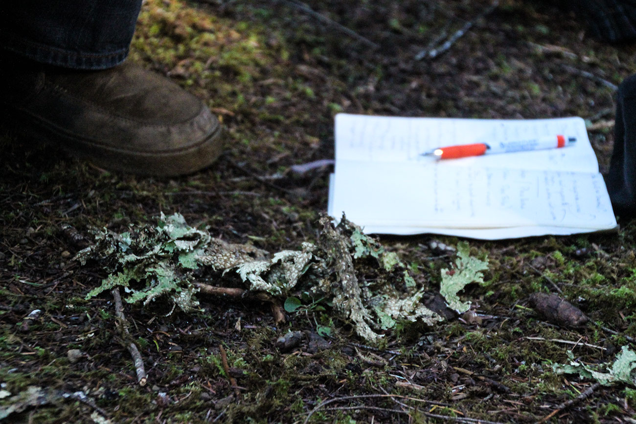 Forest floor of Andrews Forest with notebook