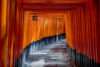 Fushimi Inari Shrine in Japan