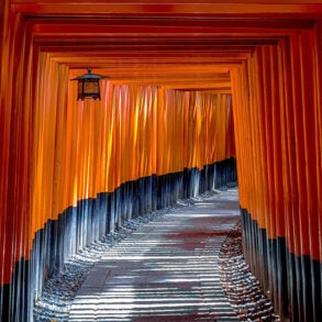 Fushimi Inari Shrine in Japan