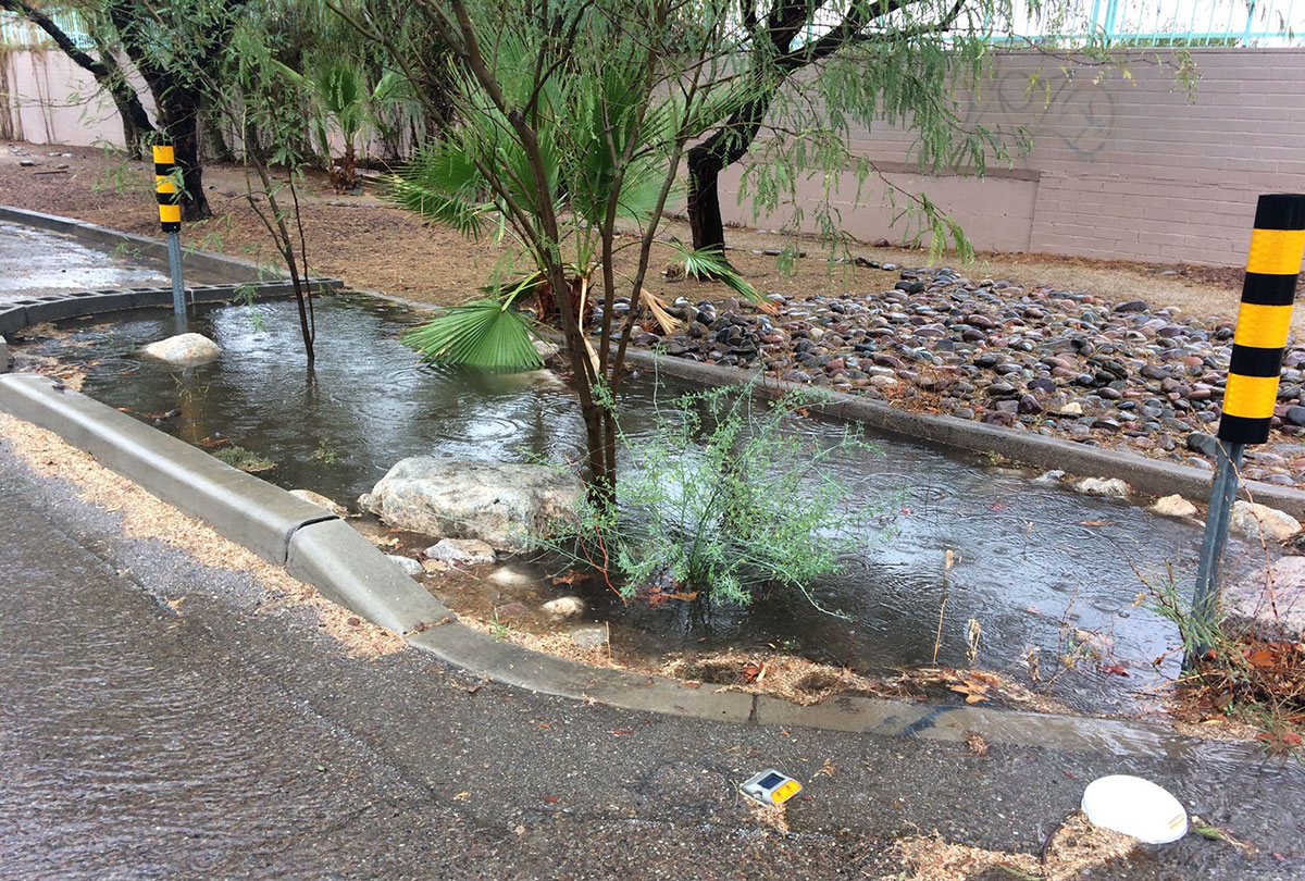 Chicane capturing stormwater