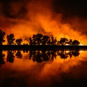 Wildfire reflected on water with silhouetted trees