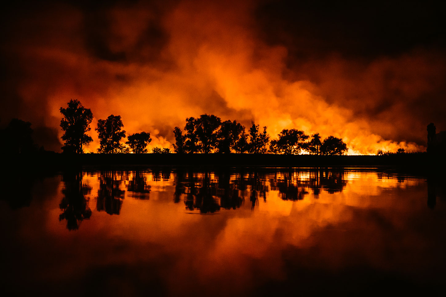 Wildfire reflected on water with silhouetted trees