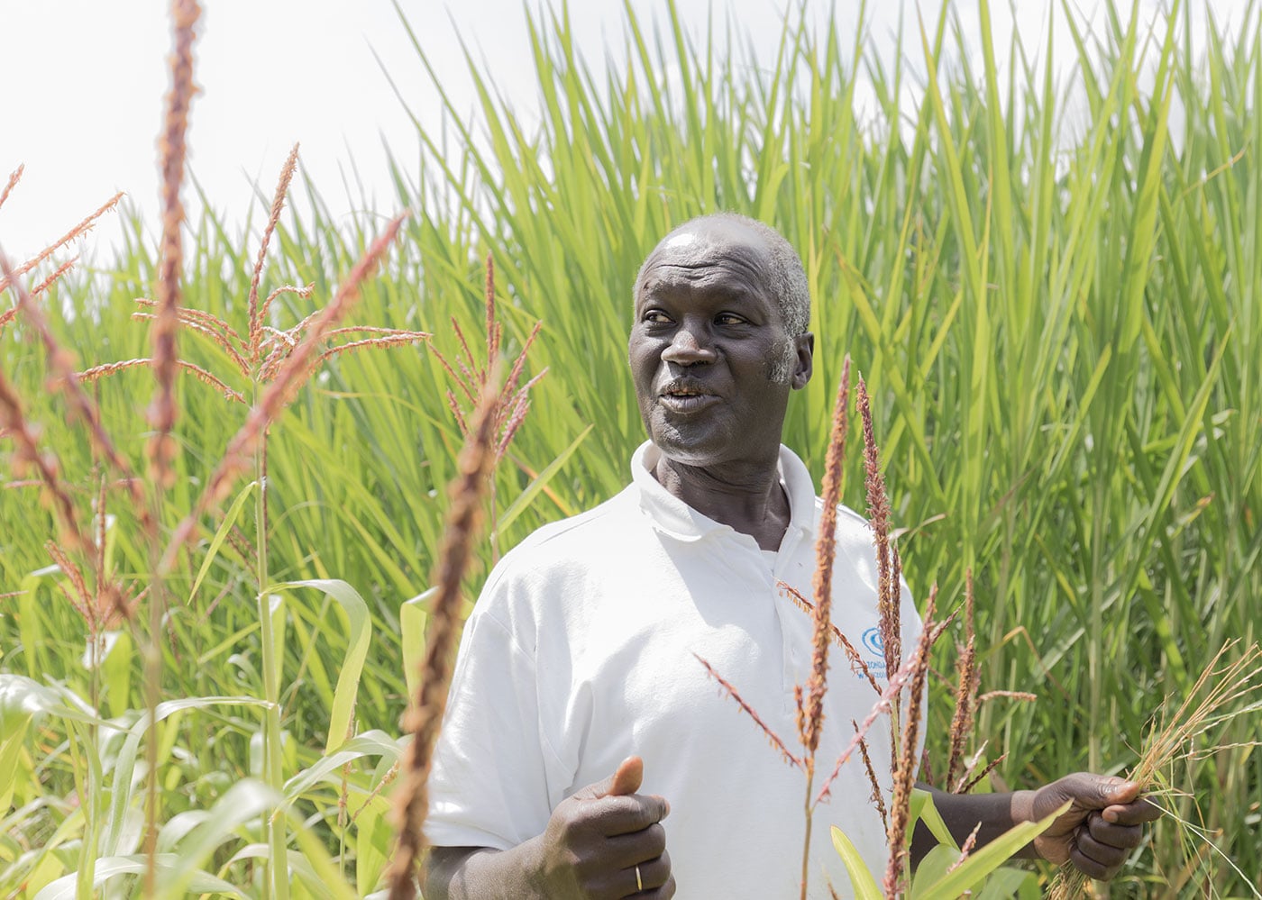 Kenyan farmer in field