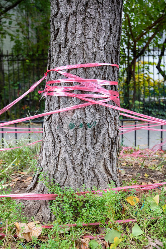 Manhattan, Pink Ribbon Garden Web