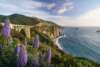 Blooms at Bixby Bridge, Big Sur
