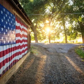 Afternoon light through the trees with American flag painted on barn