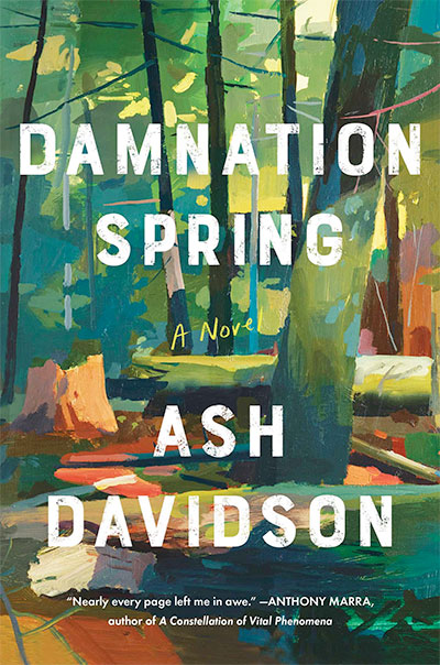 Damnation Spring, a novel by Ash Davidson