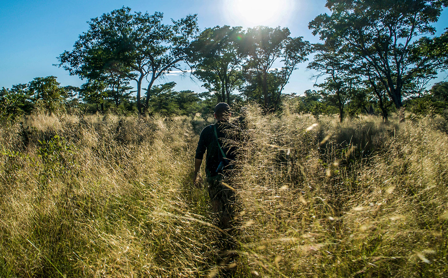 In the tall grass