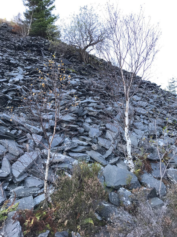 A hillslide of waste slate