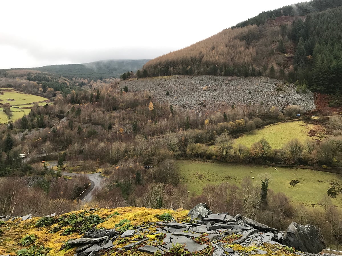 An old tip among plantation forests and sheep meadows